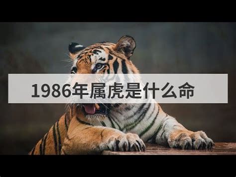 1986年是什麼命